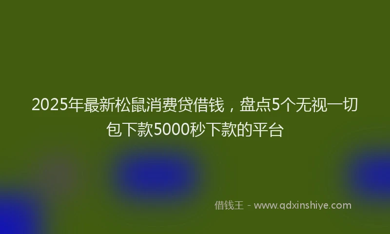 2025年最新松鼠消费贷借钱，盘点5个无视一切包下款5000秒下款的平台