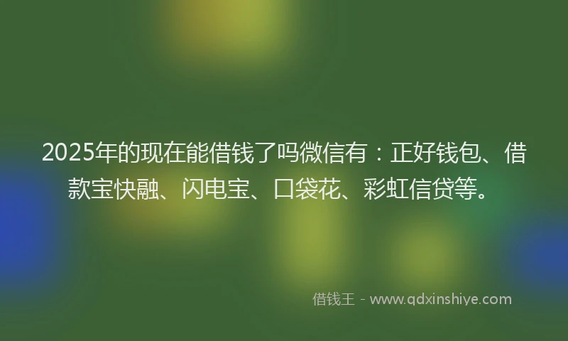2025年的现在能借钱了吗微信有：正好钱包、借款宝快融、闪电宝、口袋花、彩虹信贷等。