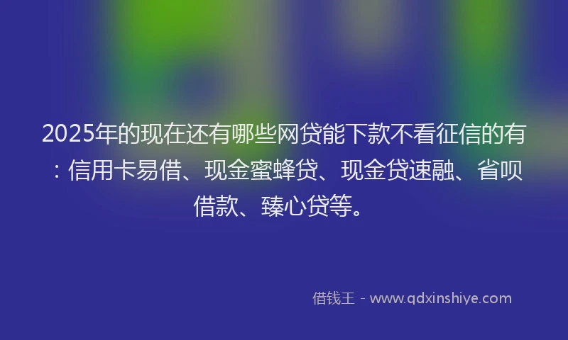 2025年的现在还有哪些网贷能下款不看征信的有：信用卡易借、现金蜜蜂贷、现金贷速融、省呗借款、臻心贷等。