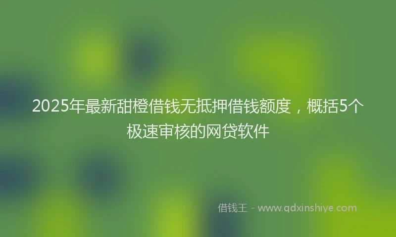 2025年最新甜橙借钱无抵押借钱额度，概括5个极速审核的网贷软件