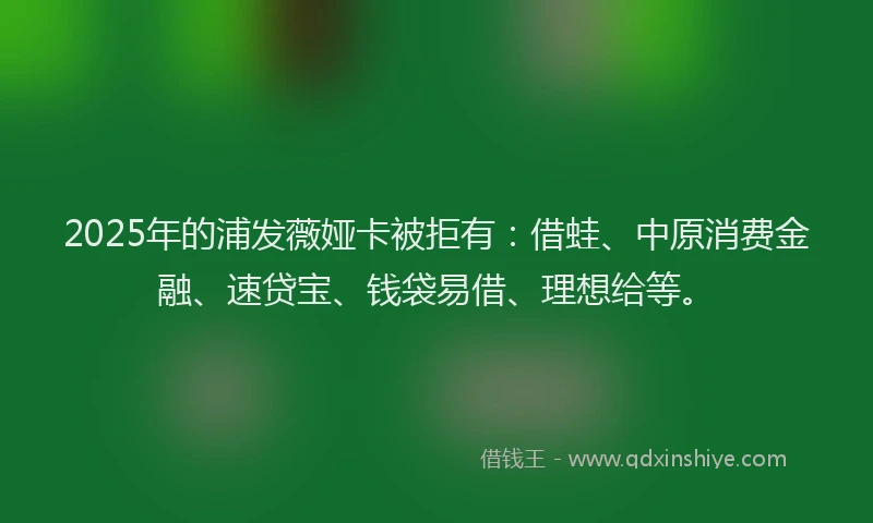 2025年的浦发薇娅卡被拒有：借蛙、中原消费金融、速贷宝、钱袋易借、理想给等。