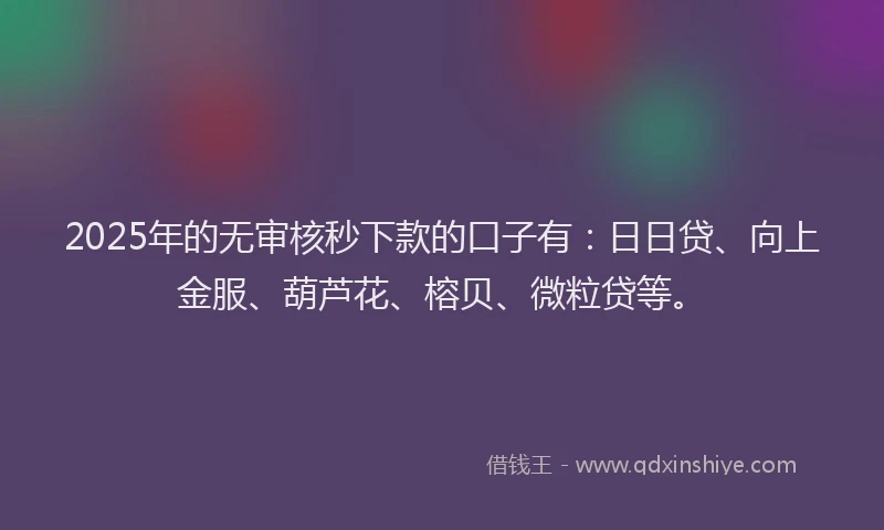 2025年的无审核秒下款的口子有：日日贷、向上金服、葫芦花、榕贝、微粒贷等。
