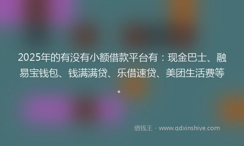 2025年的有没有小额借款平台有：现金巴士、融易宝钱包、钱满满贷、乐借速贷、美团生活费等。