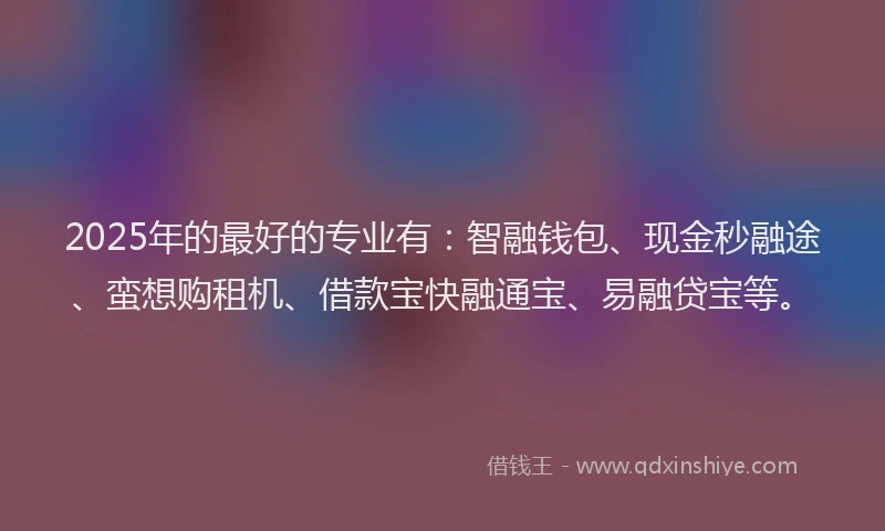 2025年的最好的专业有：智融钱包、现金秒融途、蛮想购租机、借款宝快融通宝、易融贷宝等。