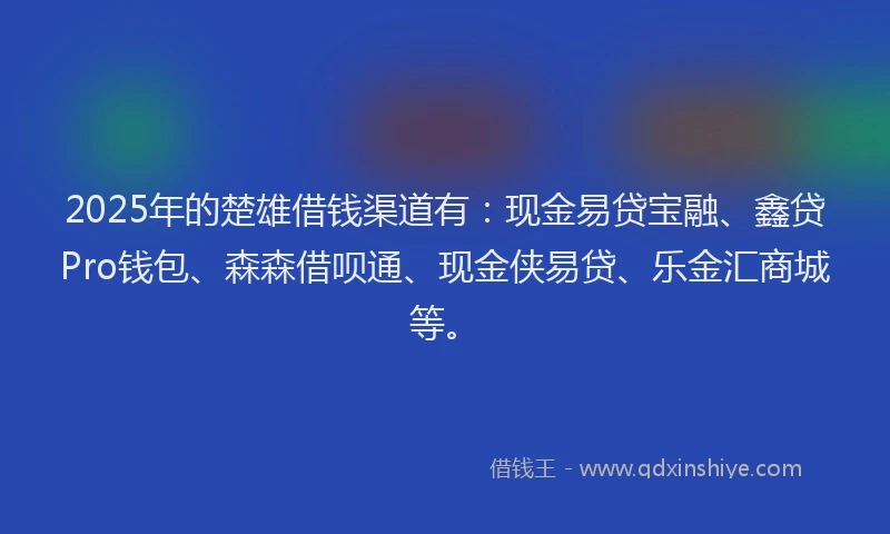 2025年的楚雄借钱渠道有：现金易贷宝融、鑫贷Pro钱包、森森借呗通、现金侠易贷、乐金汇商城等。