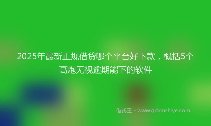 2025年最新正规借贷哪个平台好下款，概括5个高炮无视逾期能下的软件