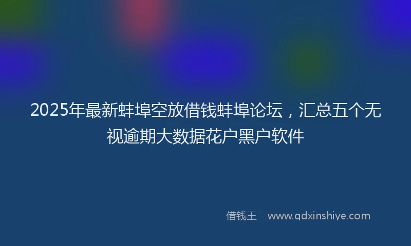 2025年最新蚌埠空放借钱蚌埠论坛，汇总五个无视逾期大数据花户黑户软件