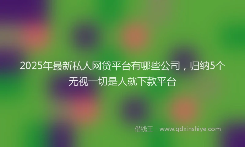 2025年最新私人网贷平台有哪些公司，归纳5个无视一切是人就下款平台
