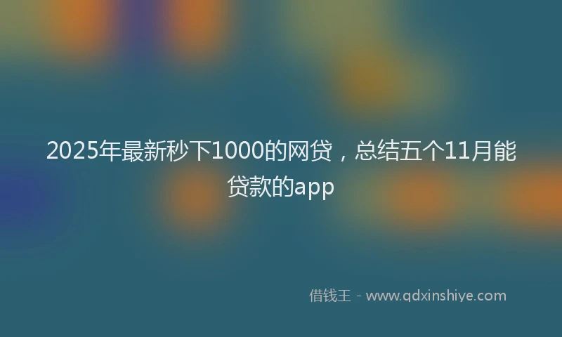 2025年最新秒下1000的网贷，总结五个11月能贷款的app