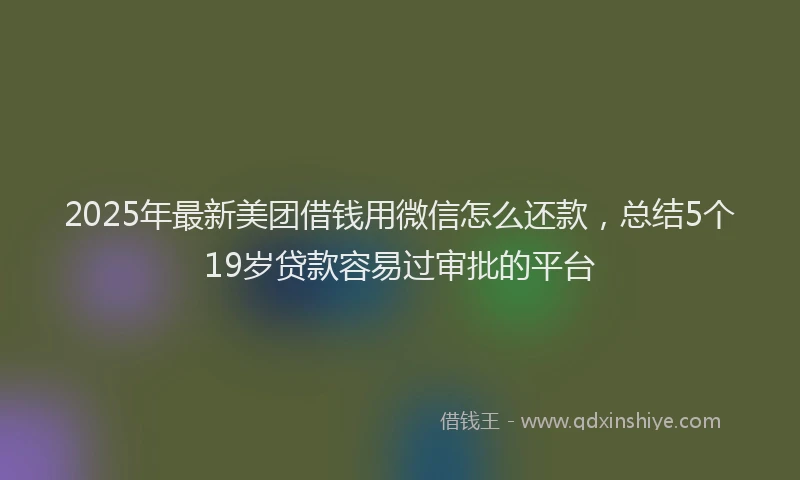 2025年最新美团借钱用微信怎么还款，总结5个19岁贷款容易过审批的平台