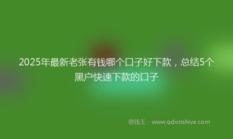 2025年最新老张有钱哪个口子好下款，总结5个黑户快速下款的口子