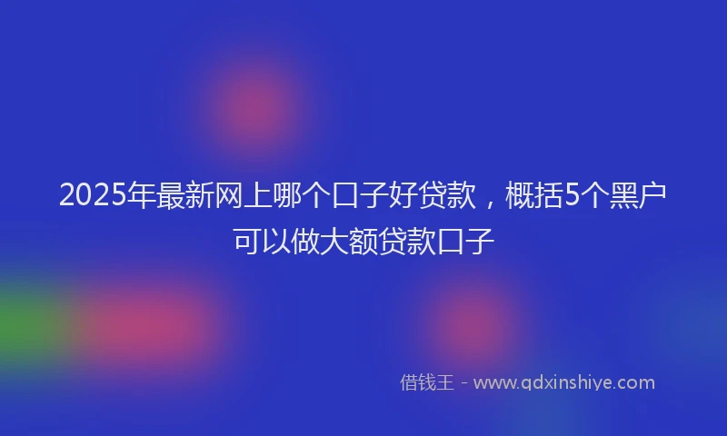 2025年最新网上哪个口子好贷款，概括5个黑户可以做大额贷款口子
