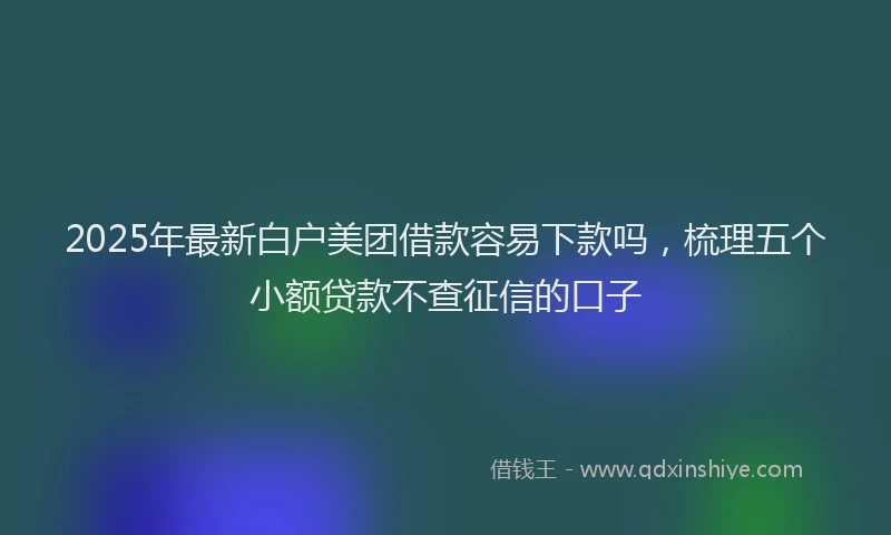 2025年最新白户美团借款容易下款吗，梳理五个小额贷款不查征信的口子