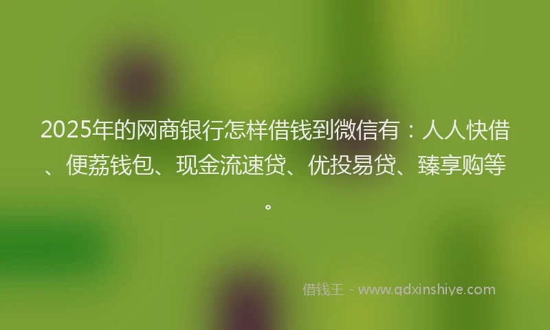 2025年的网商银行怎样借钱到微信有：人人快借、便荔钱包、现金流速贷、优投易贷、臻享购等。