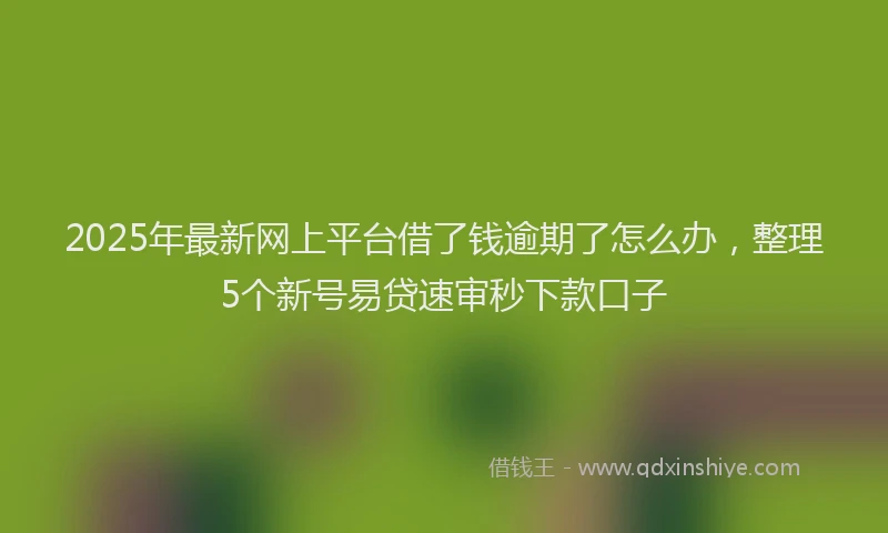 2025年最新网上平台借了钱逾期了怎么办，整理5个新号易贷速审秒下款口子