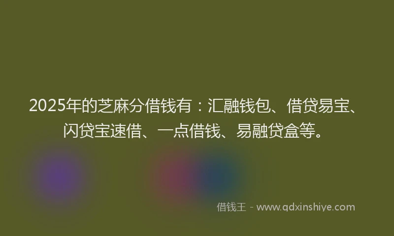 2025年的芝麻分借钱有：汇融钱包、借贷易宝、闪贷宝速借、一点借钱、易融贷盒等。