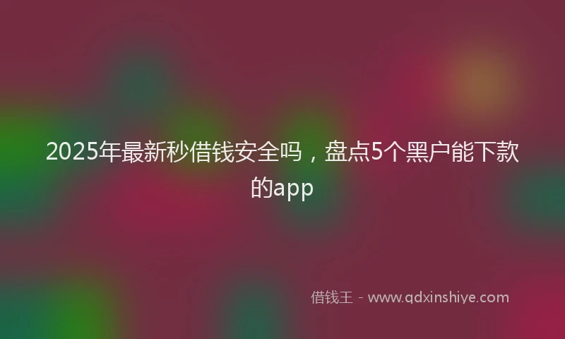 2025年最新秒借钱安全吗，盘点5个黑户能下款的app