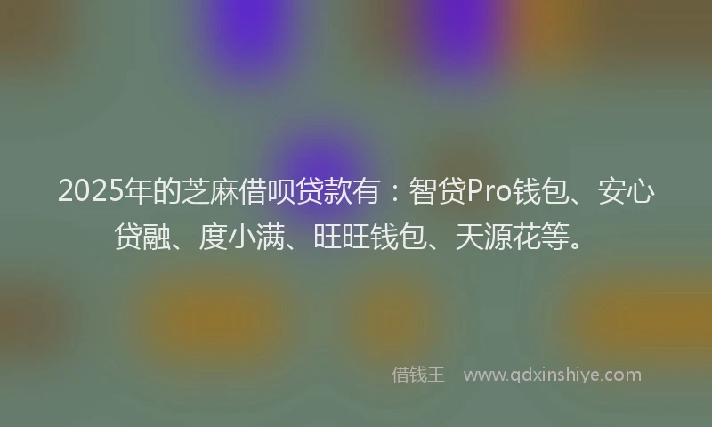 2025年的芝麻借呗贷款有：智贷Pro钱包、安心贷融、度小满、旺旺钱包、天源花等。