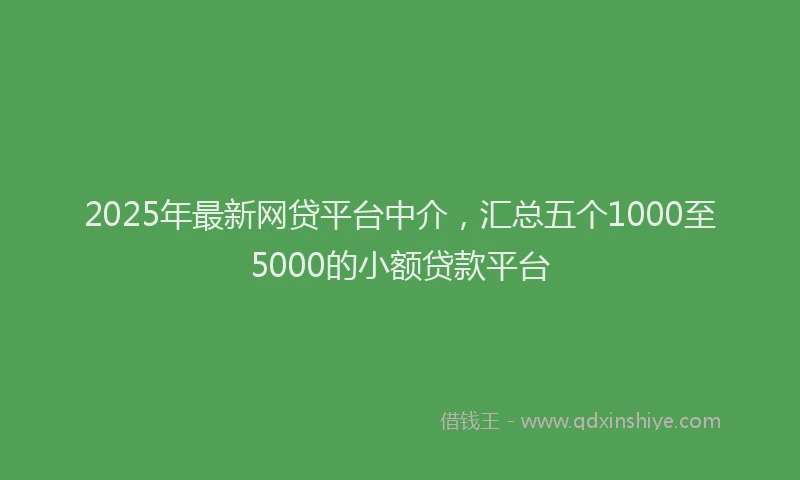 2025年最新网贷平台中介，汇总五个1000至5000的小额贷款平台