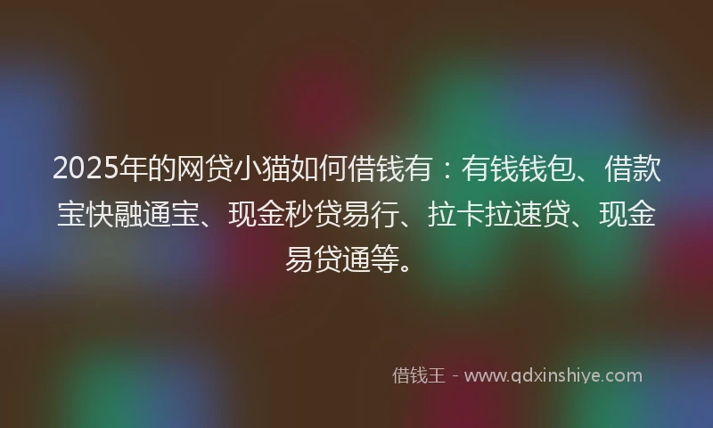 2025年的网贷小猫如何借钱有：有钱钱包、借款宝快融通宝、现金秒贷易行、拉卡拉速贷、现金易贷通等。