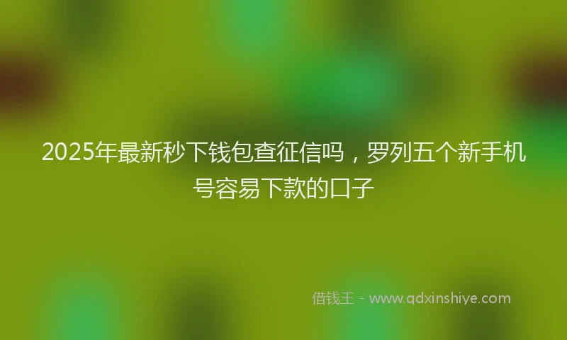 2025年最新秒下钱包查征信吗，罗列五个新手机号容易下款的口子