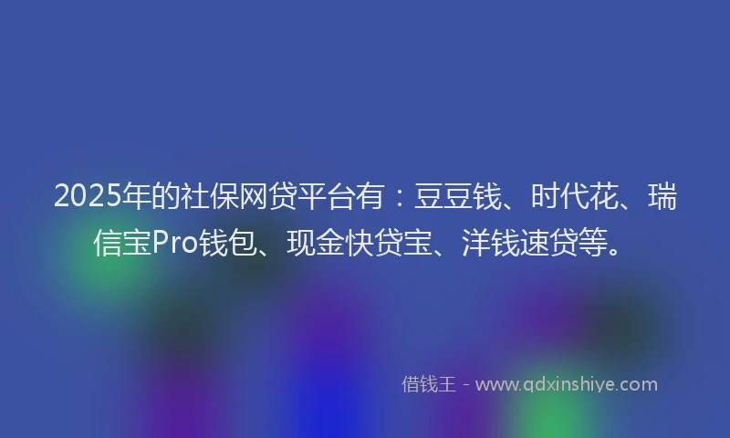 2025年的社保网贷平台有：豆豆钱、时代花、瑞信宝Pro钱包、现金快贷宝、洋钱速贷等。