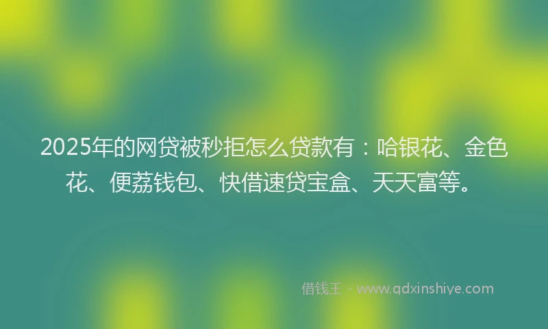 2025年的网贷被秒拒怎么贷款有：哈银花、金色花、便荔钱包、快借速贷宝盒、天天富等。