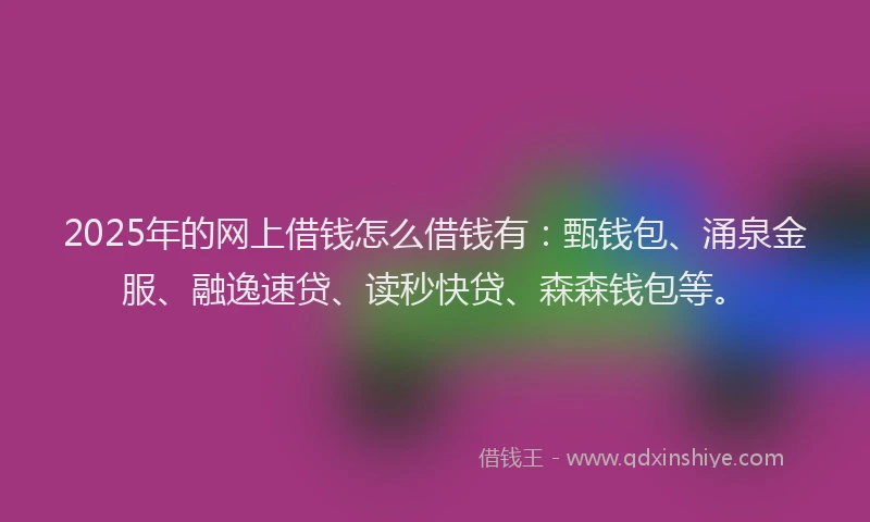 2025年的网上借钱怎么借钱有：甄钱包、涌泉金服、融逸速贷、读秒快贷、森森钱包等。