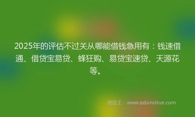 2025年的评估不过关从哪能借钱急用有：钱速借通、借贷宝易贷、蜂狂购、易贷宝速贷、天源花等。