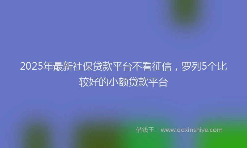 2025年最新社保贷款平台不看征信，罗列5个比较好的小额贷款平台