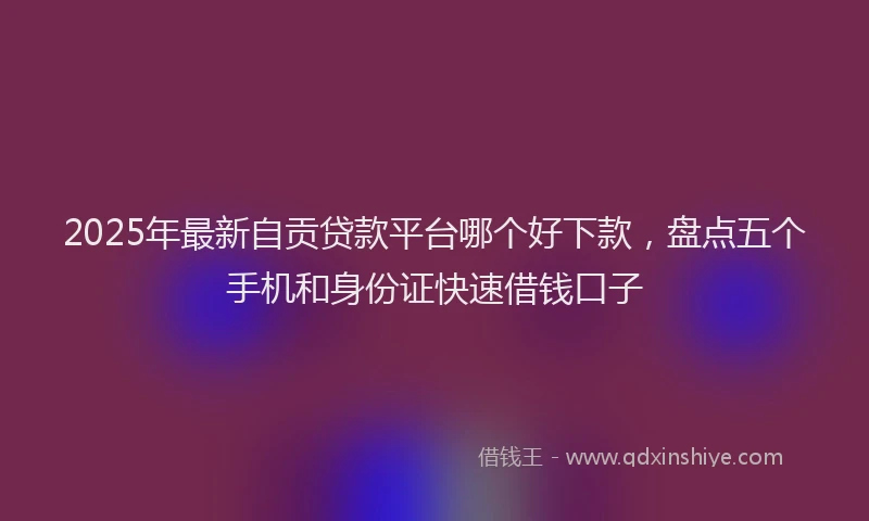 2025年最新自贡贷款平台哪个好下款，盘点五个手机和身份证快速借钱口子