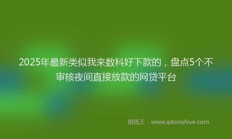 2025年最新类似我来数科好下款的，盘点5个不审核夜间直接放款的网贷平台