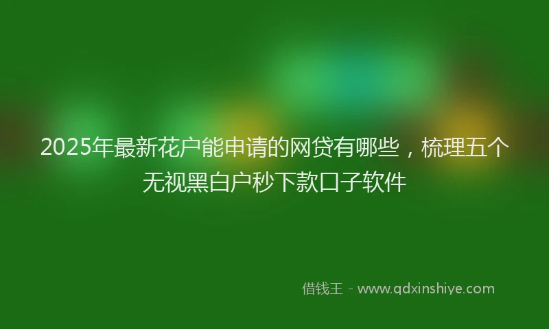 2025年最新花户能申请的网贷有哪些，梳理五个无视黑白户秒下款口子软件
