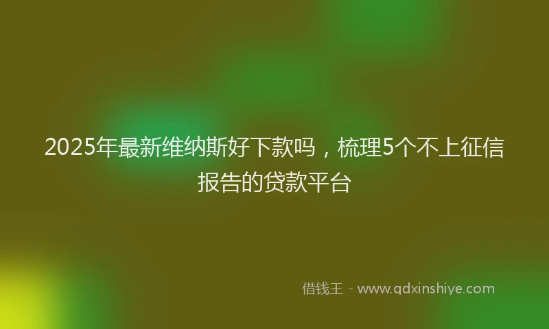2025年最新维纳斯好下款吗，梳理5个不上征信报告的贷款平台
