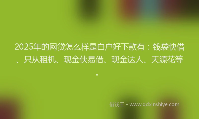 2025年的网贷怎么样是白户好下款有：钱袋快借、只从租机、现金侠易借、现金达人、天源花等。