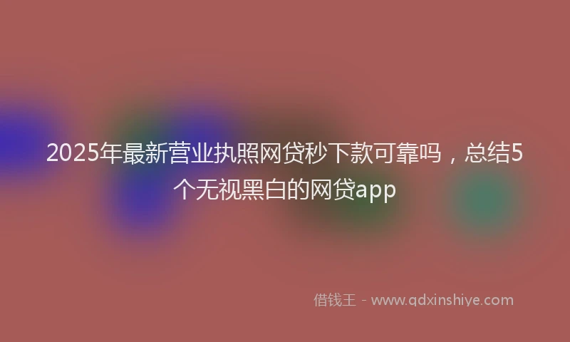 2025年最新营业执照网贷秒下款可靠吗，总结5个无视黑白的网贷app