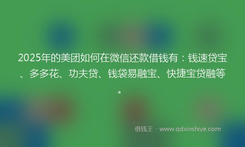 2025年的美团如何在微信还款借钱有：钱速贷宝、多多花、功夫贷、钱袋易融宝、快捷宝贷融等。