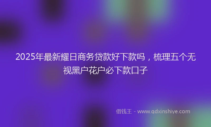 2025年最新耀日商务贷款好下款吗，梳理五个无视黑户花户必下款口子