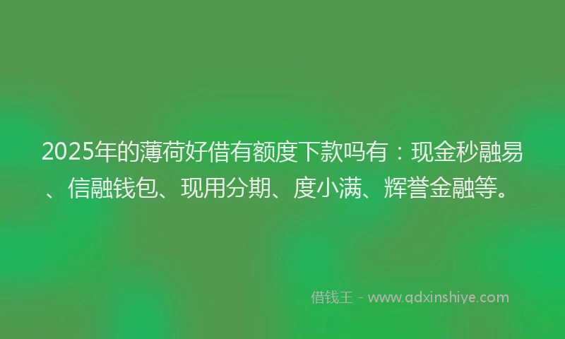 2025年的薄荷好借有额度下款吗有：现金秒融易、信融钱包、现用分期、度小满、辉誉金融等。