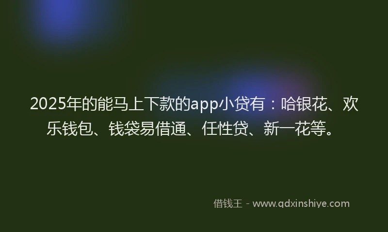 2025年的能马上下款的app小贷有：哈银花、欢乐钱包、钱袋易借通、任性贷、新一花等。