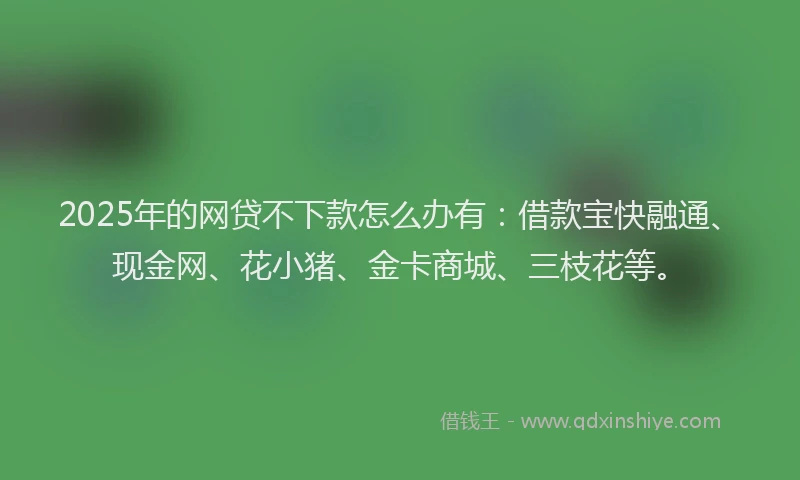 2025年的网贷不下款怎么办有：借款宝快融通、现金网、花小猪、金卡商城、三枝花等。