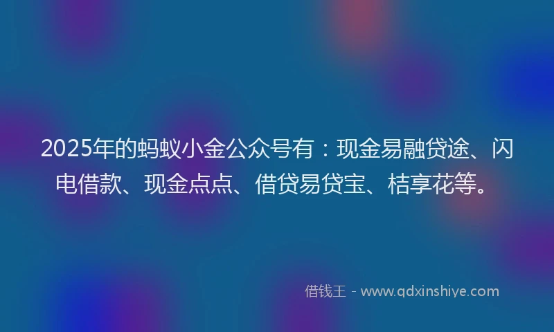 2025年的蚂蚁小金公众号有：现金易融贷途、闪电借款、现金点点、借贷易贷宝、桔享花等。