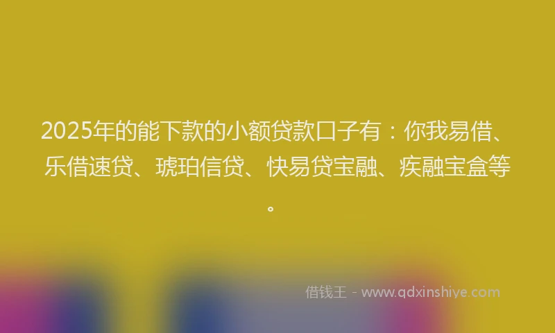 2025年的能下款的小额贷款口子有：你我易借、乐借速贷、琥珀信贷、快易贷宝融、疾融宝盒等。