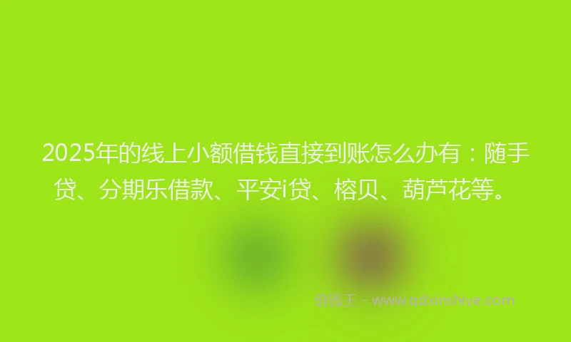 2025年的线上小额借钱直接到账怎么办有：随手贷、分期乐借款、平安i贷、榕贝、葫芦花等。