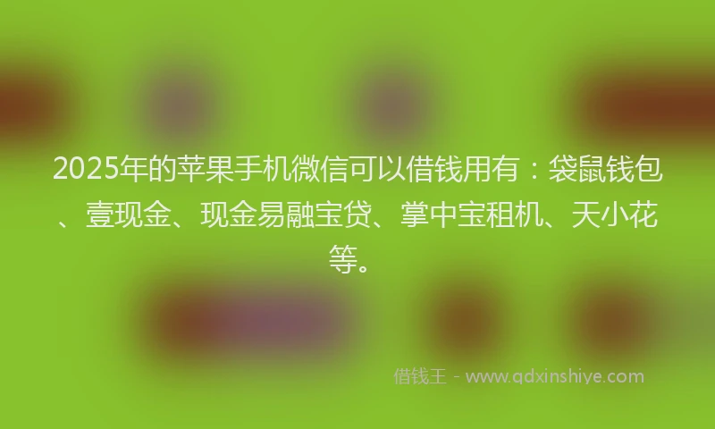 2025年的苹果手机微信可以借钱用有：袋鼠钱包、壹现金、现金易融宝贷、掌中宝租机、天小花等。