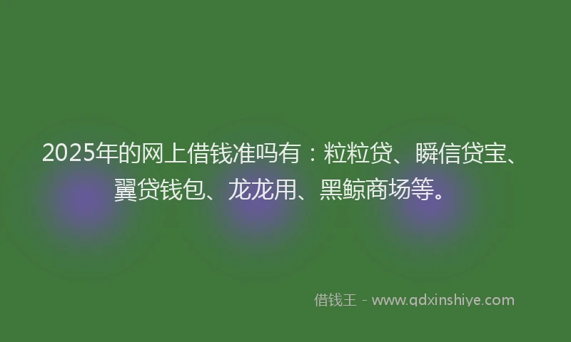 2025年的网上借钱准吗有：粒粒贷、瞬信贷宝、翼贷钱包、龙龙用、黑鲸商场等。