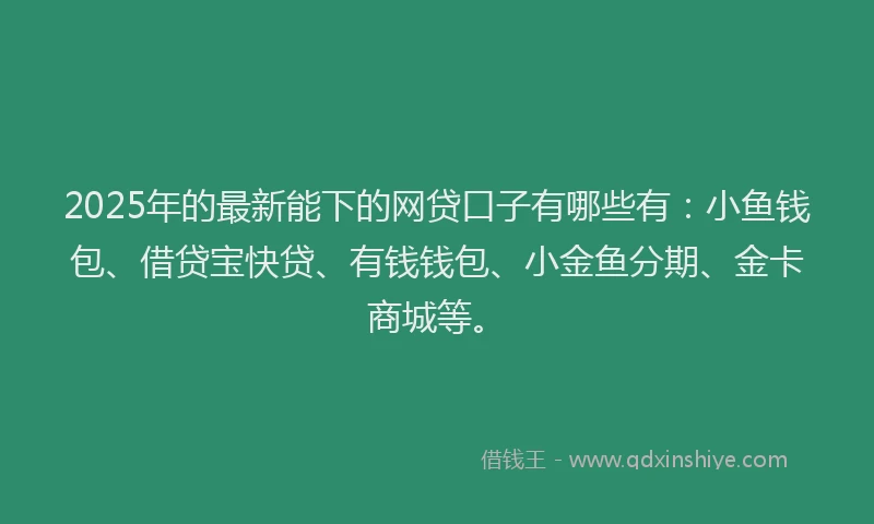 2025年的最新能下的网贷口子有哪些有：小鱼钱包、借贷宝快贷、有钱钱包、小金鱼分期、金卡商城等。
