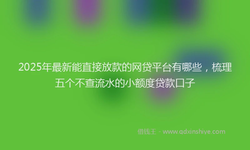 2025年最新能直接放款的网贷平台有哪些，梳理五个不查流水的小额度贷款口子