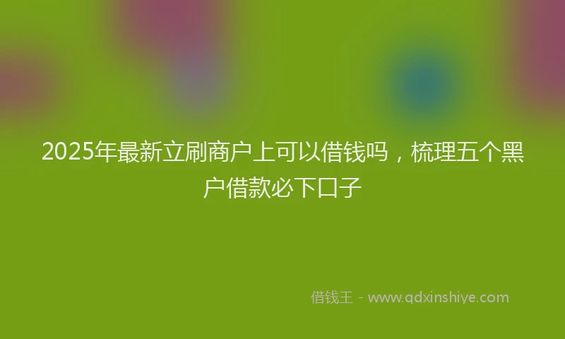 2025年最新立刷商户上可以借钱吗，梳理五个黑户借款必下口子