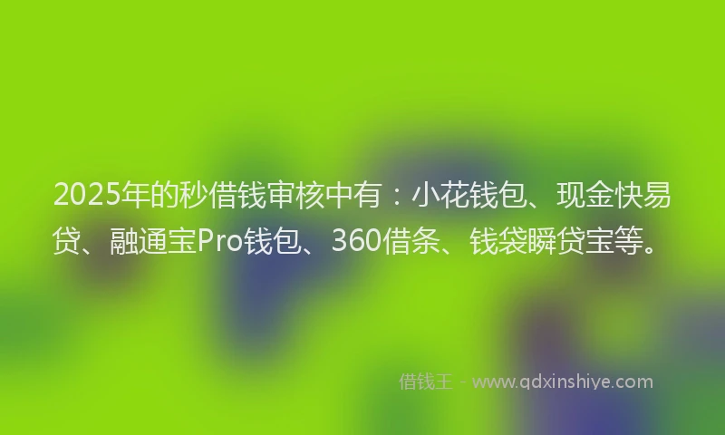 2025年的秒借钱审核中有：小花钱包、现金快易贷、融通宝Pro钱包、360借条、钱袋瞬贷宝等。